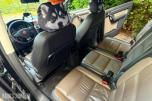 2008 Volkswagen Touran 1.9 TDI 105hk 7-Seter, Ryggekamera, Cruisekontroll